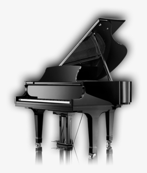 Pianos De Cola - Piano Steinway