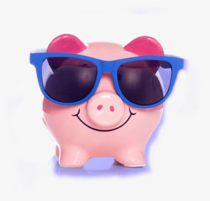 Why Accepting Credit Cards Means More Cash In The Bank - Domestic Pig