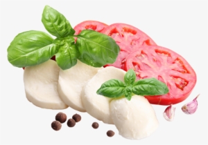 fromage mozzarella png