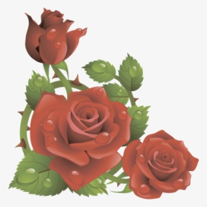 Цветы, Красная Роза, Зеленый Лист - Rose Flowers Wallpaper 3d