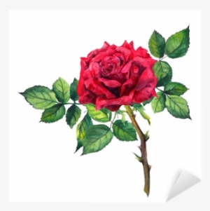Autocolante Pixerstick Flor Rosa Vermelha - Watercolour Red Rose