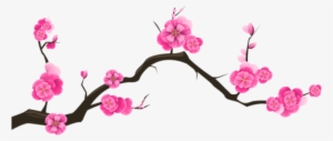 Flores Flor Bonita Rosa 8 Png - Cherry Blossom Transparent Background Transparent PNG - 678x295 - Free Download on NicePNG