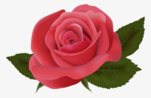 Цветок Розы, Красная Роза, Цветы - Transparent Background Roses Clipart