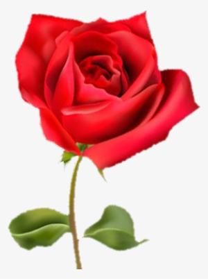 Affordable Finest Finest Villa Rosa With Rosa With