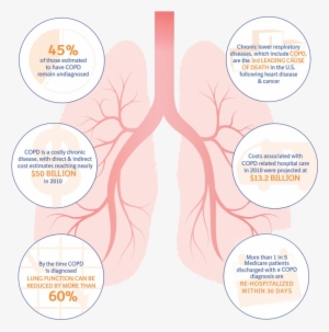 Chronic Lung Disease Statistics - Chronic Obstructive Pulmonary Disease Infographics