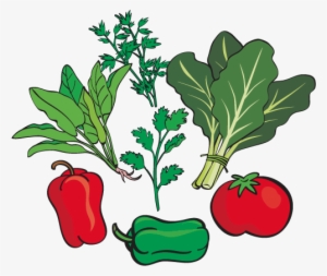 Verduras Como Espinacas, Acelgas, Kuratú, Perejil, - Red Bell Pepper