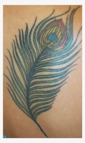 Tattoo Designs - Peacock Feather Tattoo Designs