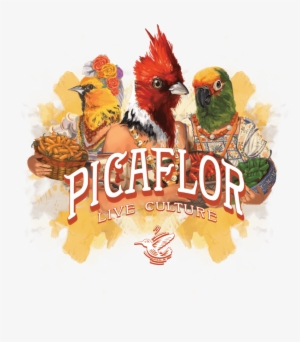 Picaflor Birdladies - Culture