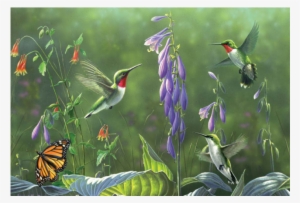 Hummingbirds & Hosta - Buffalo Games Hautman Brothers: Hummingbirds And Hosta