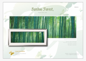 Prev - Canvas Art Set: Panoramic Images' Bamboo Forest, Sagano,