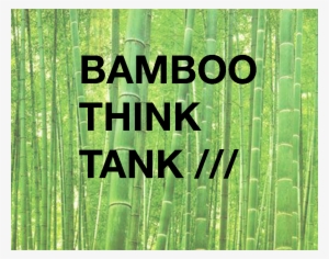 Bamboo Think Tank /// - Grass