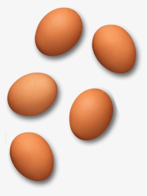 Eggs - Glutafin - Egg