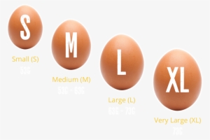 Egg Sizes - Egg Sizes Uk