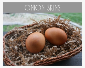 Onion Skin Eggs - Egg