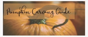 Picking Out Your Pumpkin
