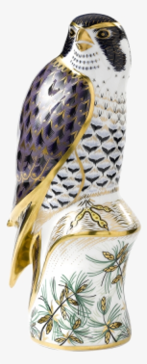 91papbox60837 - Royal Crown Derby Paperweights Collection - Peregrine