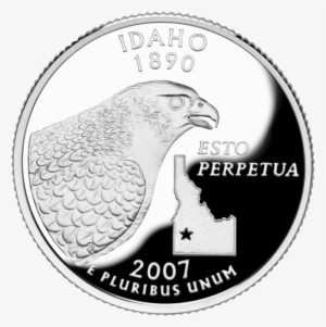 Peregrine Falcon - State Quarter