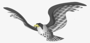 Illustration Of A Falcon - Bald Eagle