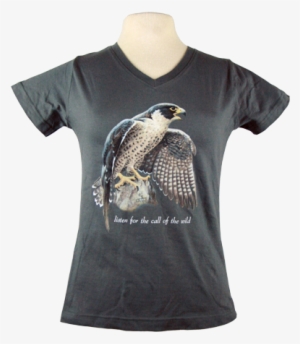 Peregrine Falcon - Shirt