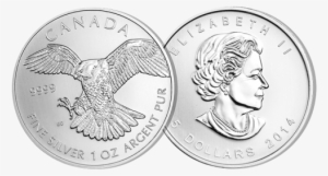 2014 Canadian Silver Peregrine Falcon - American Platinum Eagle