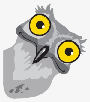 Potoo Bird Solo