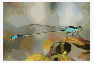 Damselflies - Blue Dragonfly - Dragon Fly Ipad Mini Case, White