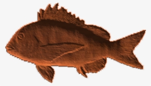 Halibut