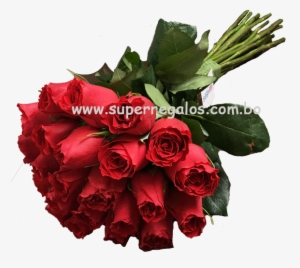 Bouquet De 24 Rosas - Garden Roses