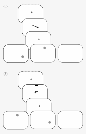 The Sequence Used In The Central-cueing Experiment - Card Game