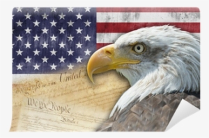 Bandera Y Símbolos De Los Estados Unidos De América - American History: Us History: An Overview