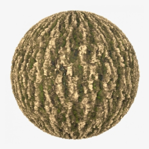Circle