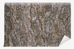 Cobblestone