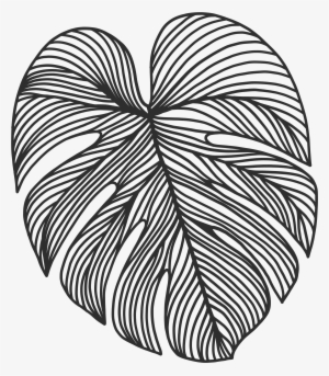 Paper