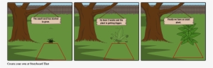 Plant Growth - Examples Of Tu Quoque