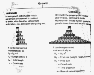 Growth Rate And Types Of Growth Rate In - Economic Growth