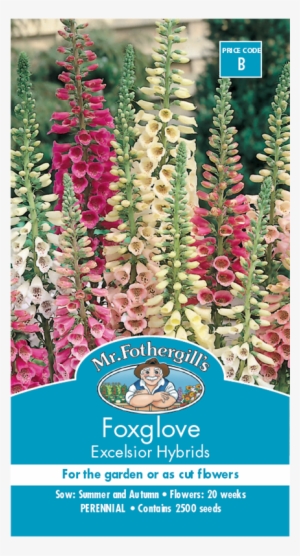 Mr Fothergill's Foxglove Excelsior Seeds - Foxgloves Bunnings