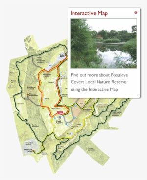Foxglove Interactive Habitat Map - Foxglove Covert Nature Reserve