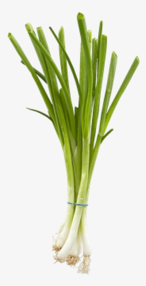 Image - Green Onions Transparent