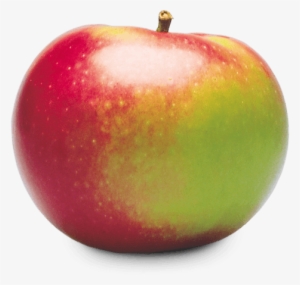 Mcintosh - Macintosh Apple Fruit Png
