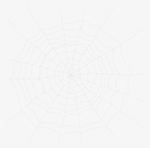 Cobweb - Spider Web