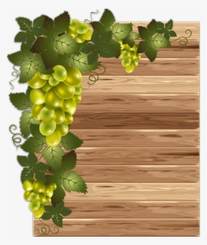 7075491a - Grape Vinyard Transparent Png