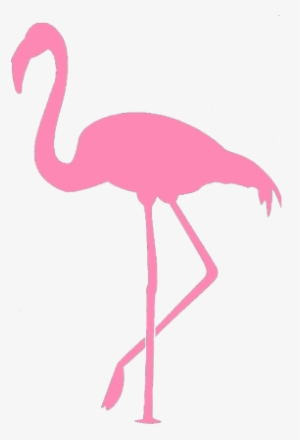 Flaming T-shirt - Imagem Para Stencil De Flamingo