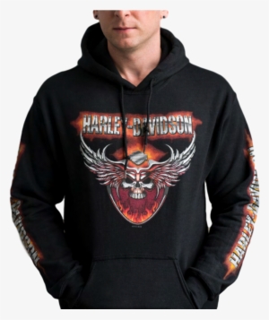 Harley Davidson Magnet Loyal To One Skull