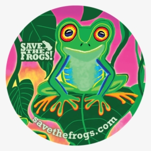 Sticker Gustafson Pink Green - Save The Frogs