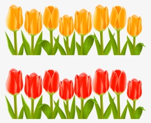 Vector Indira Gandhi Memorial Tulip - Tulips Flower Garden Clip Art