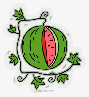 Watermelon On Vine Royalty Free Vector Clip Art Illustration - Clip Art