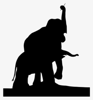 Download Png - Elephant
