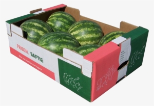 6 Pcs/box - Watermelon