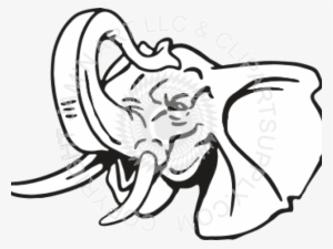 Trunk Clipart Elephant Head - Elephant Drawing With Trunk Up