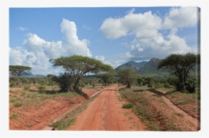 Red Ground Road, Bush With Savanna - Tsavo West National Park